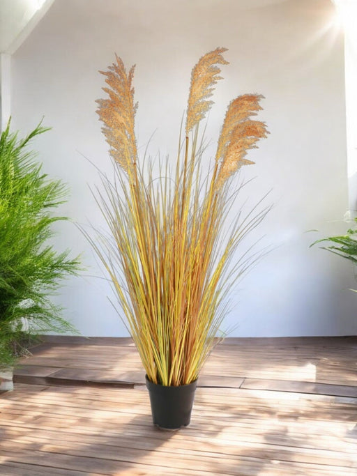 Sorghum - Kunstgræs