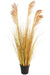 Sorghum - Kunstgræs