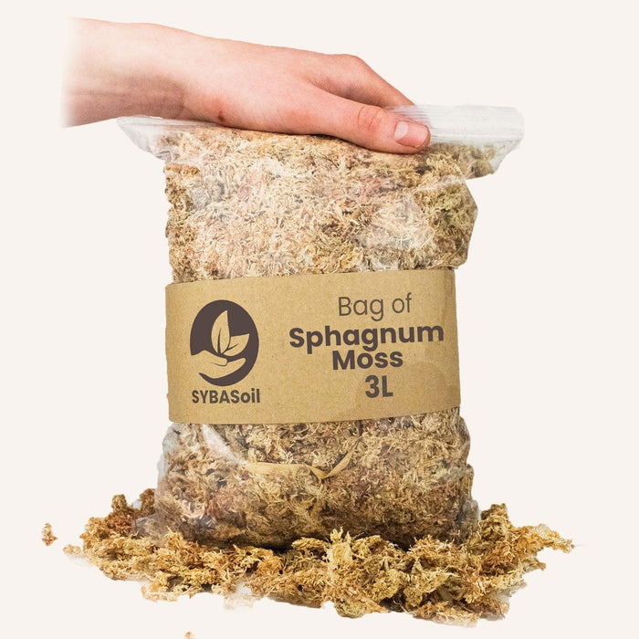 Sphagnum Mos - 3L