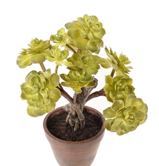 Kunstig Sukkulent I Terracotta Pot 35 Cm