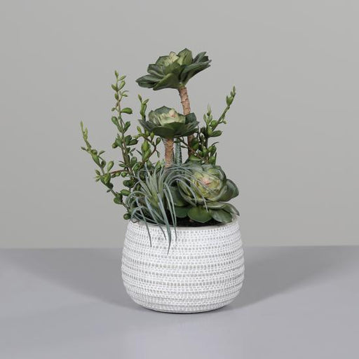 Kunstige Sukkulenter Pottekaktus Indendørs 31 Cm