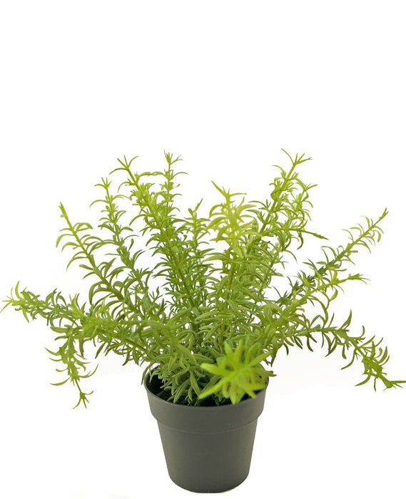 Sukkulent - Kunstig Grøn Plante
