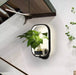 Led Plante Pendel Lys