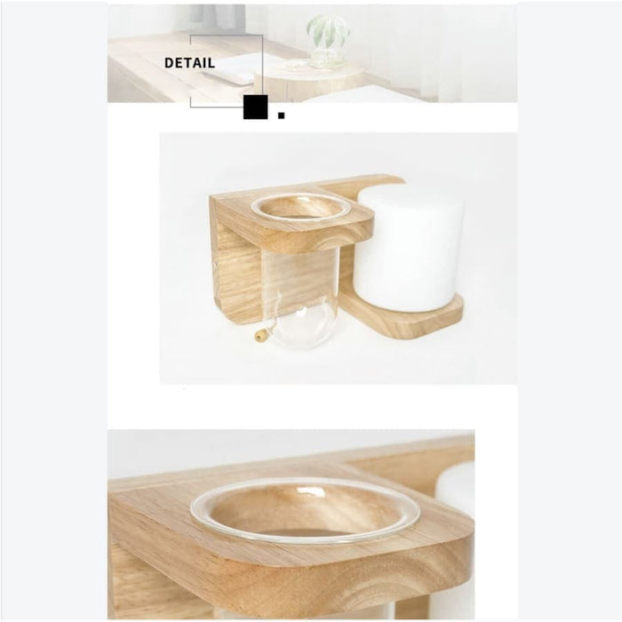 Plante Hængelys