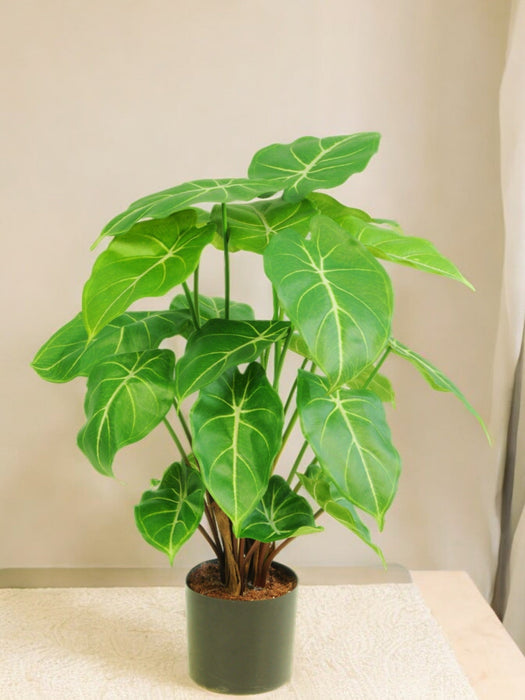 Syngonium - Kunstig Grøn Plante