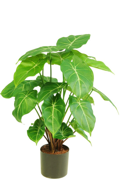 Syngonium - Kunstig Grøn Plante