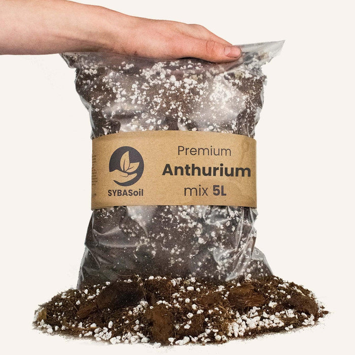 Anthurium Jord - 5L