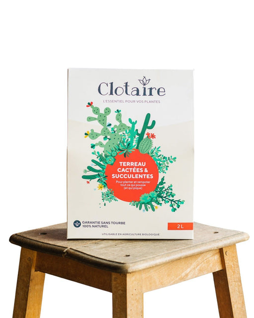 Særlig Kaktus Og Sukkulent Jord - Clotaire