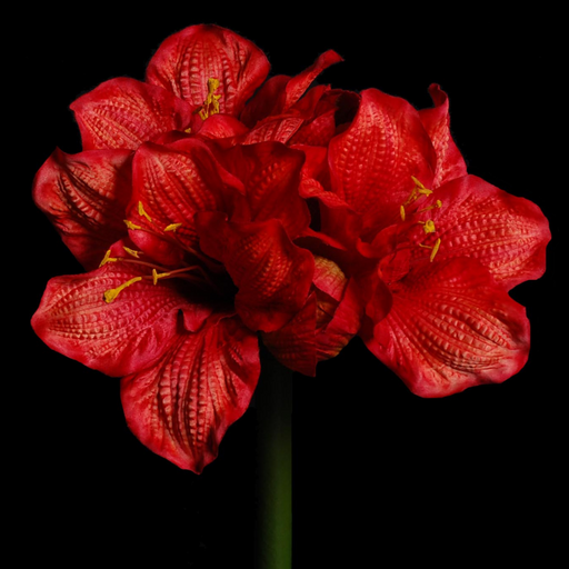 Kunstig Amaryllis Stilk 90Cm Rød Dekoration