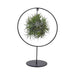 Tillandsia Ring Mix
