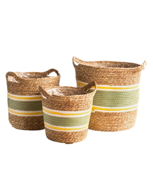 Trio Af Store Grønne Og Gule Palma-Kurve
