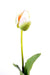 Kunstig Tulipan Indretning 79Cm Grøn