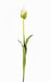 Kunstig Tulipan Indretning 79Cm Grøn