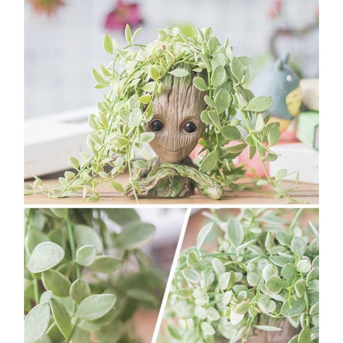 Kærlig Groot Vase (X2)