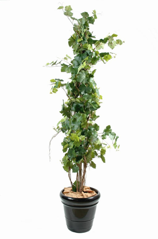 Indendørs Kunstig Vinstok 200 Cm Med Sort Pot