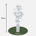 Grape Vine 'Lakemount' Uden Frø - ↨50Cm - Ø19 - Frugtbusk