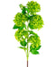Viburnum - Kunstigt Løv