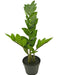 Zamioculcas - Kunstig Grøn Plante